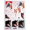 Arkusz do techniki 3D , Kod : PU6204140097 