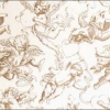 Bibuła satynowana , Rodzaj:Gold Cherubs , format : 50x76 a 5 - Kod: TIS-W-152