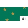 Bristol zielony w gwiazdy złote ( opak. 10 ark.) 25x35 Kod: FO588951