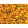 Folia holograficzna samoprzylepna. Rodzaj: dots orange Arkusze 25x35 a 4 - Kod: 110/4/41