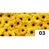 Karton typu Element s Flowers: Gerbery 50x70 a 10 ark. - Kod: FO4603